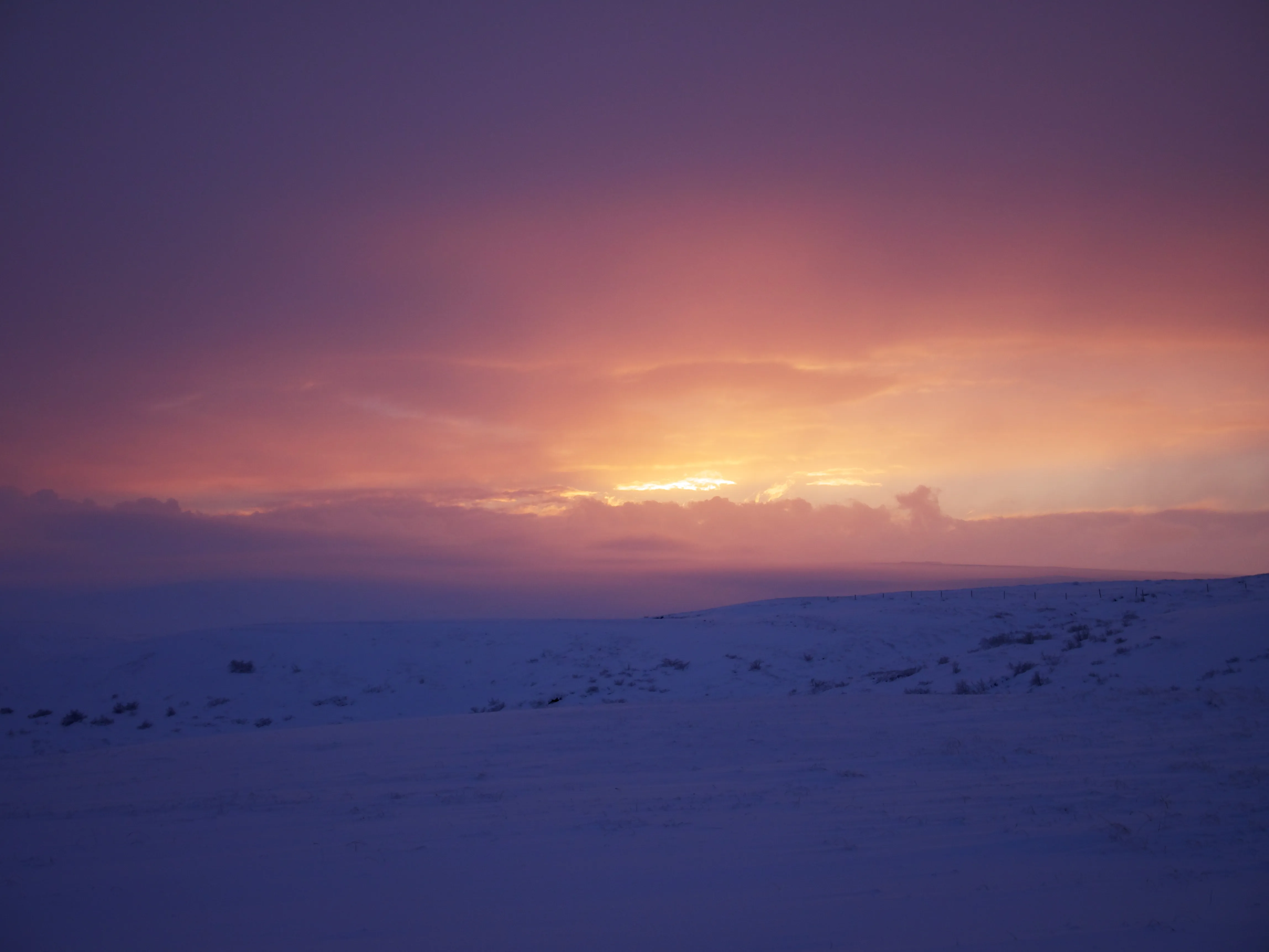 Low Sun, Wind & Snow Gallery - Picture 3